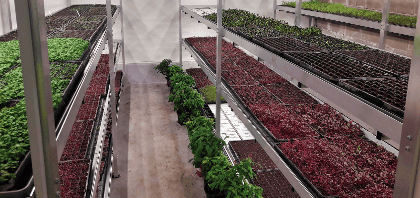 Katmikaianduse infopäev 2022