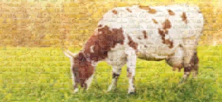 Loomakasvatusseminar 2016