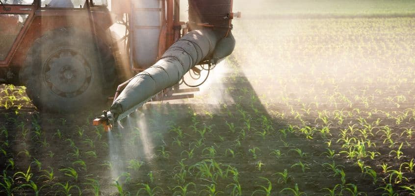 Paagisegu valmistamine