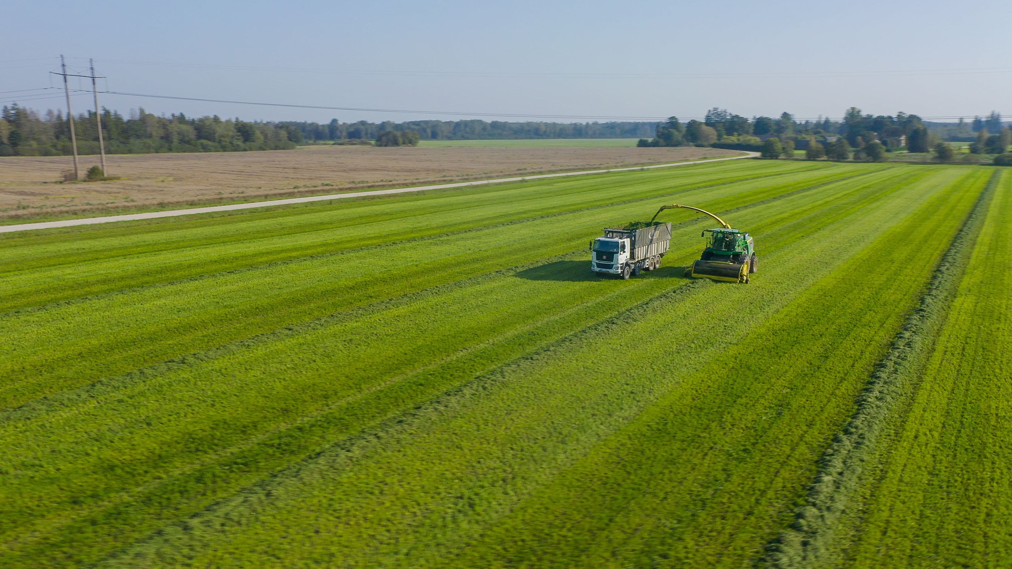 Happepõhised silokindlustuslisandid