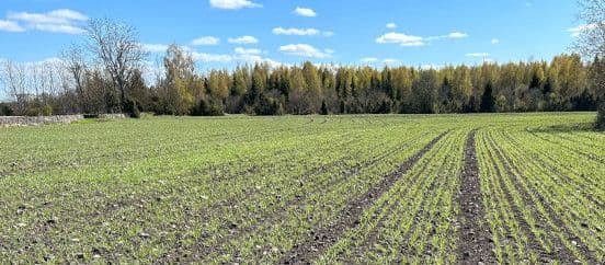 Sügisene täiendväetamine Mn ja K