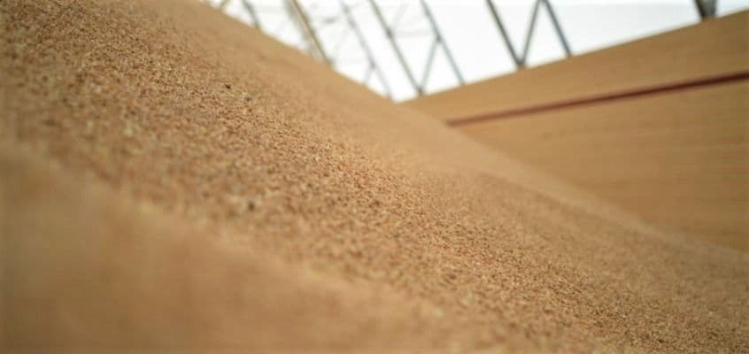 Enamlevinud laokahjurid