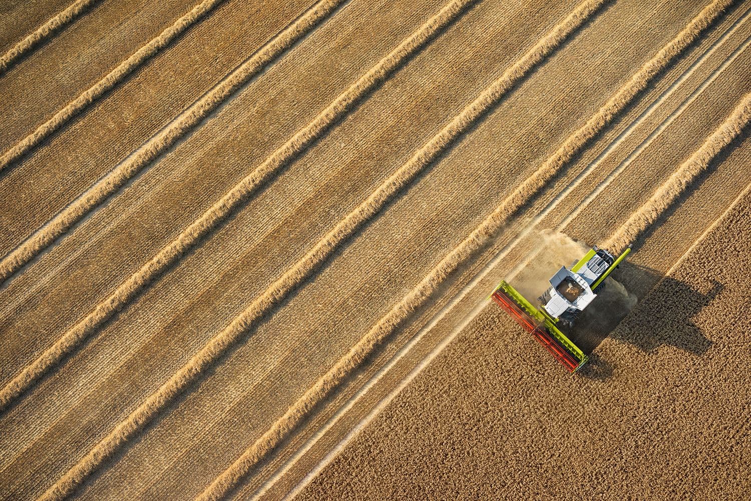 Mahevilja ost ja müük