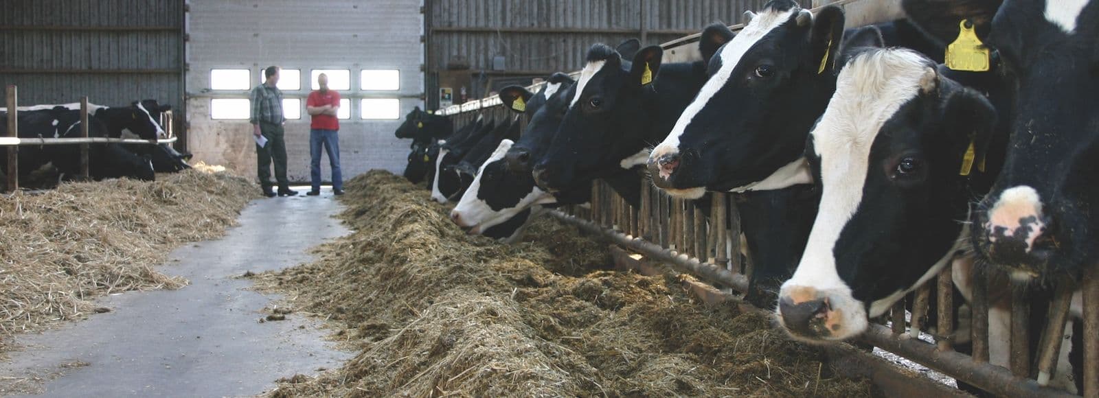 Vatsa pH kontrolli alla