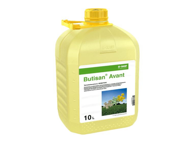 Butisan Avant