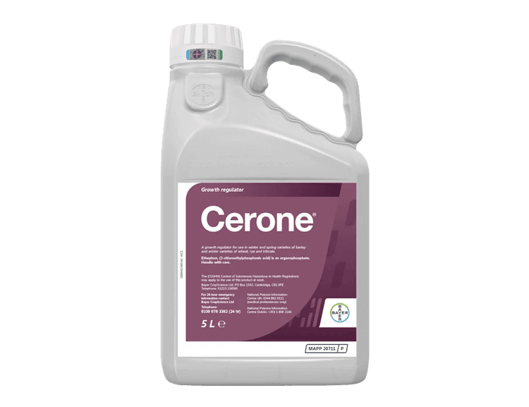 Cerone