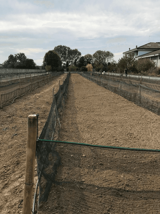 Tigude ja nälkjate võrk ELIX-NET