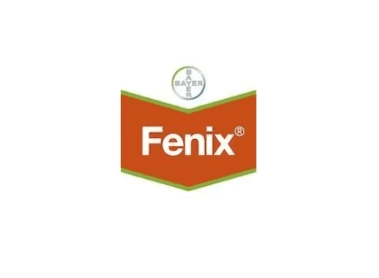 Fenix