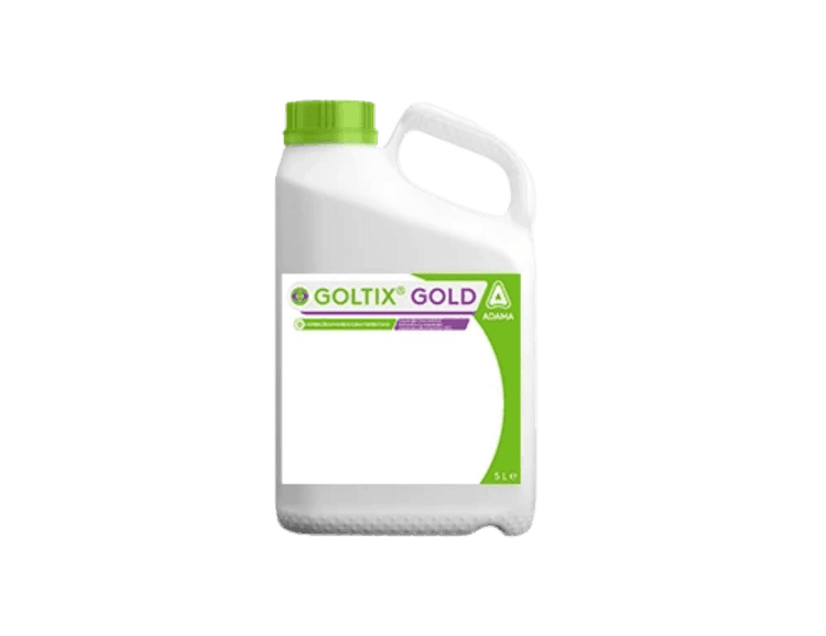 Goltix Gold