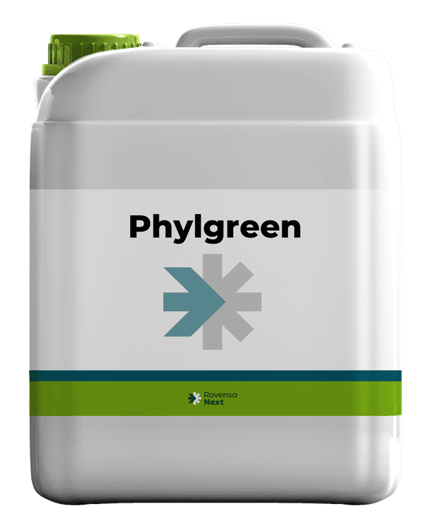 Phylgreen