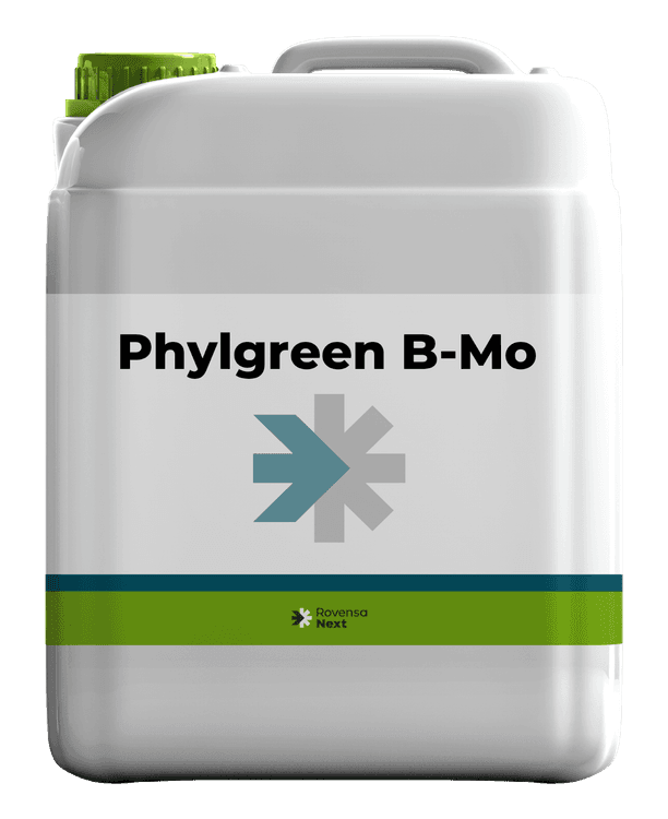 Phylgreen B-Mo