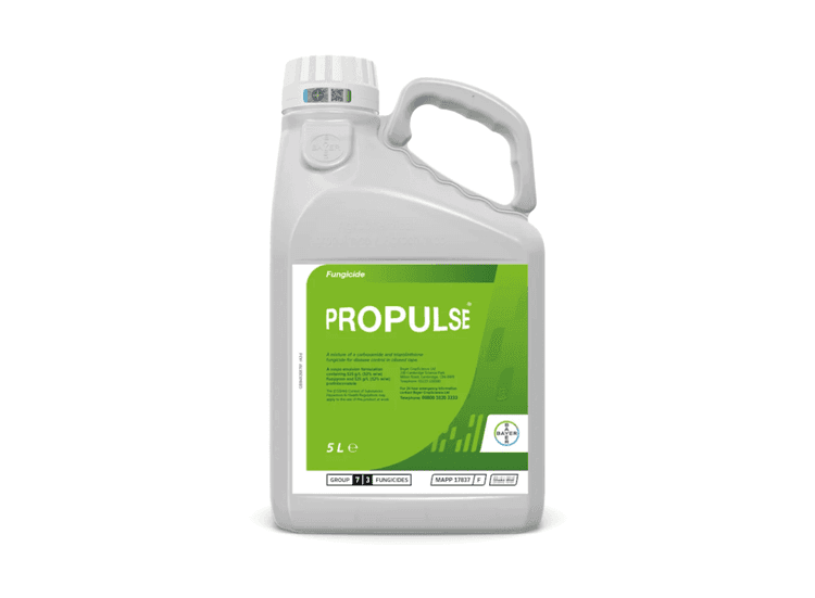 Propulse