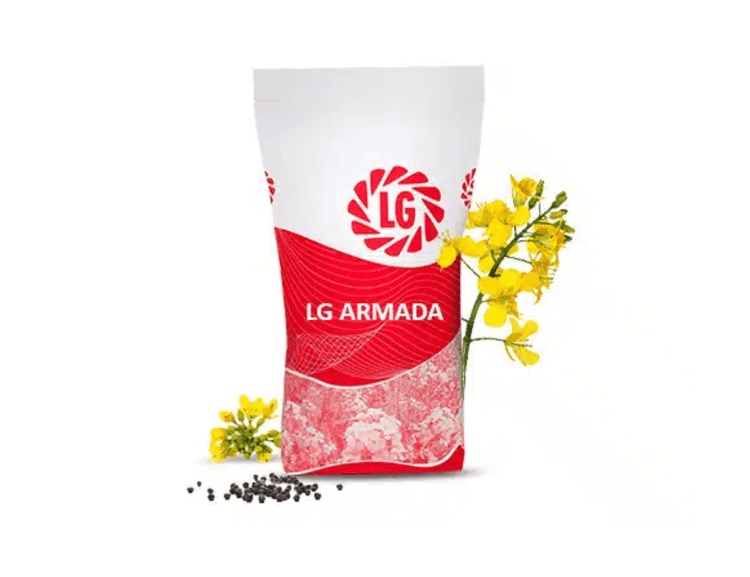 Taliraps LG Armada
