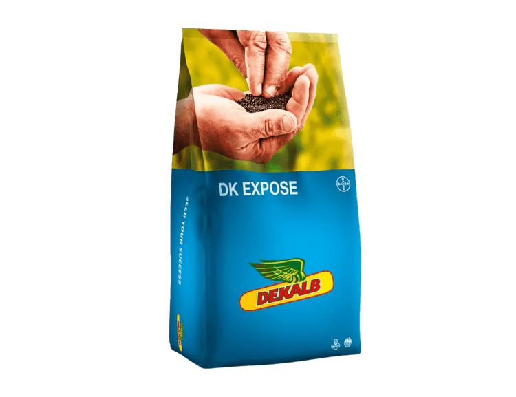 Taliraps DK Expose