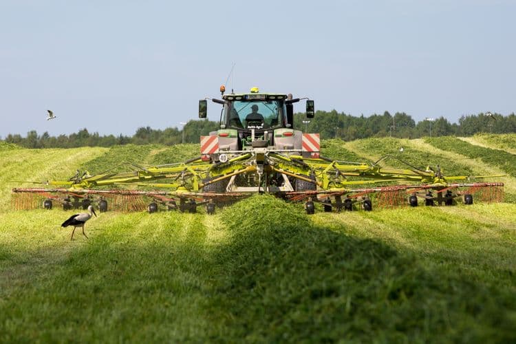 Rohusilo vaalutamine