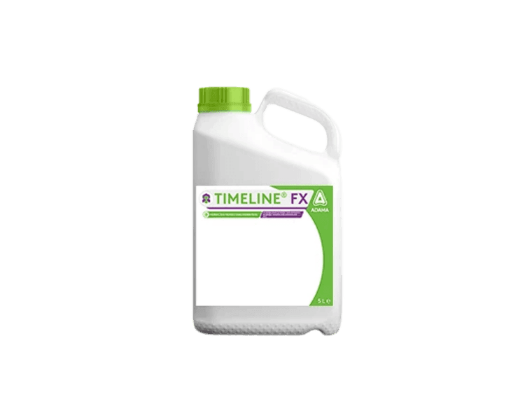 Timeline FX