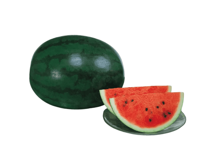 Sugar Delicata