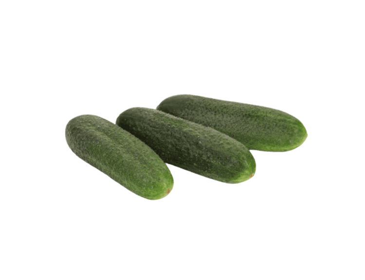 Majestosa