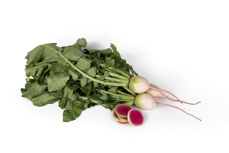Misto Rose Fresh