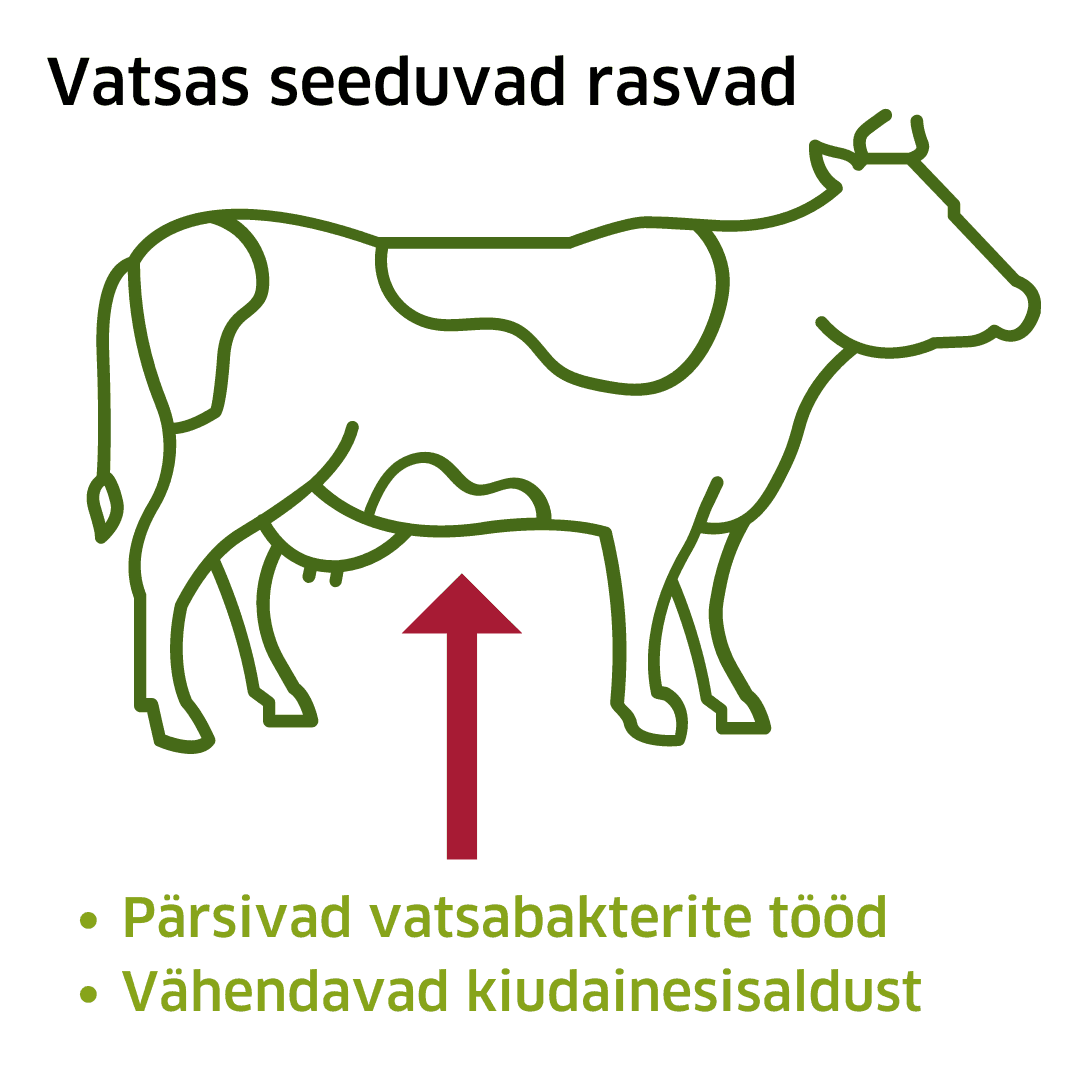 Vatsas seeduvad rasvad