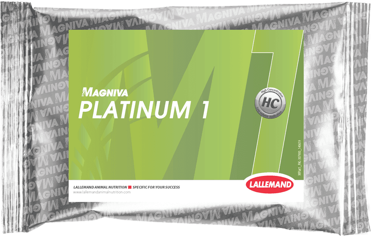 Magniva Platinum 1