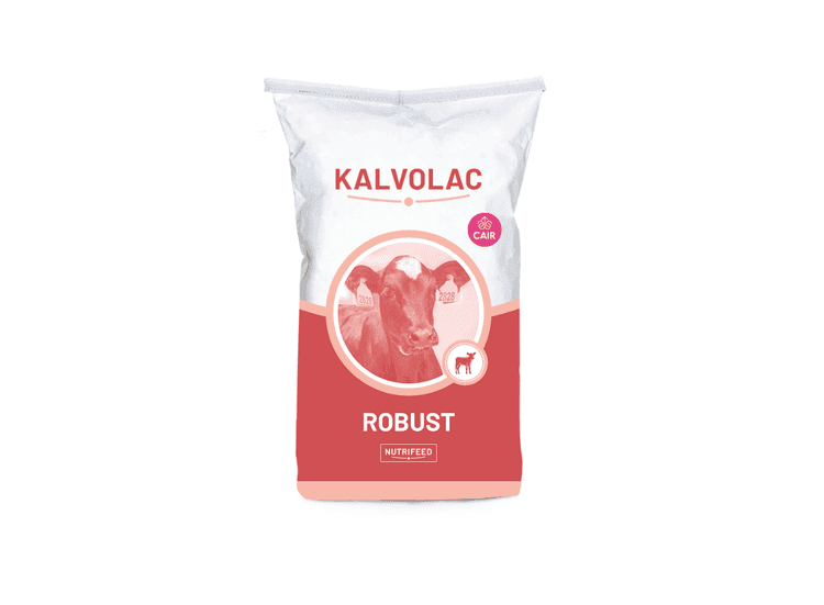 Kalvolac Robust Cair