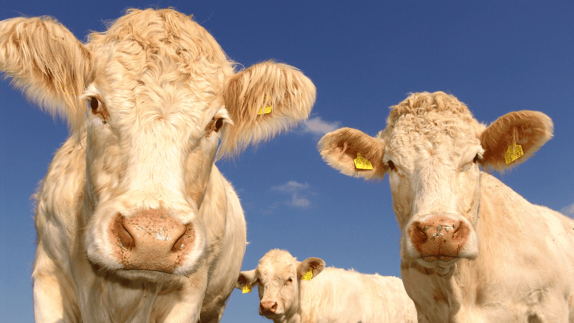 Teadmiste Talgud 2016