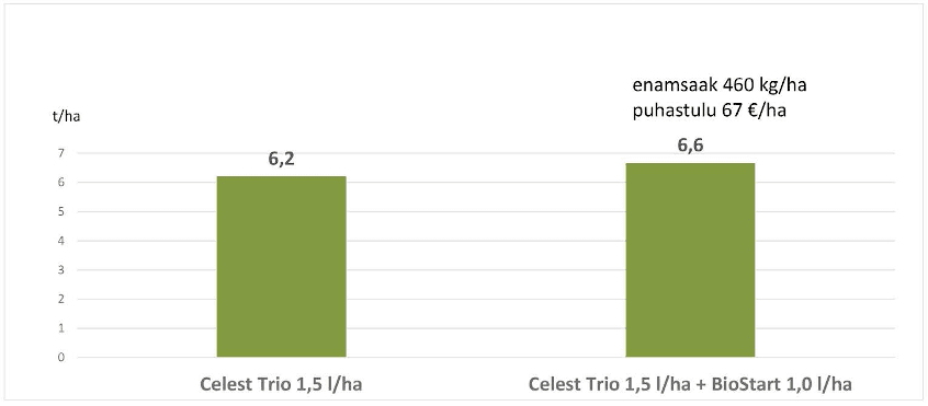 Enamsaak puhtimisvahendi kasutamisest