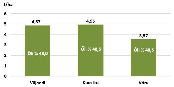 Suviraps Fenja riiklike sordivõrdluskatsete tulemused