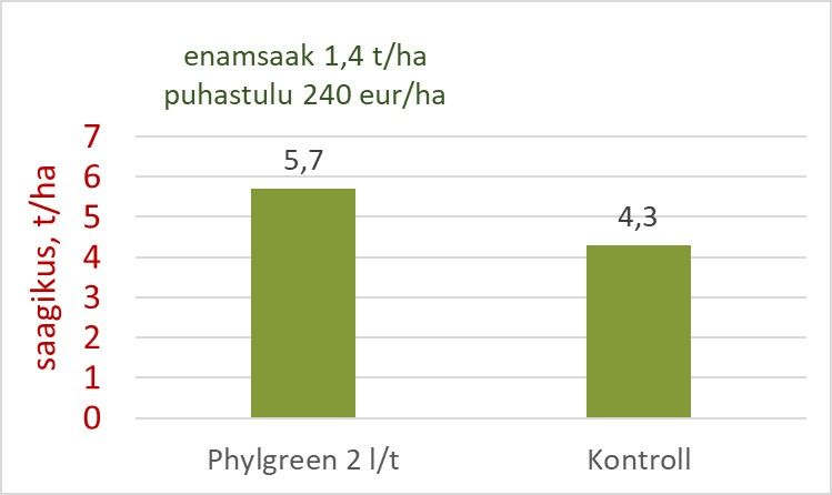 Enamsaak Phylgreeniga töötlemisest, EHE Pojad OÜ