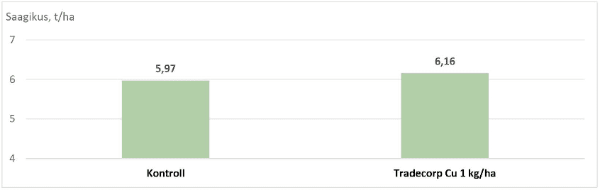 Talinisu Julius saagikus