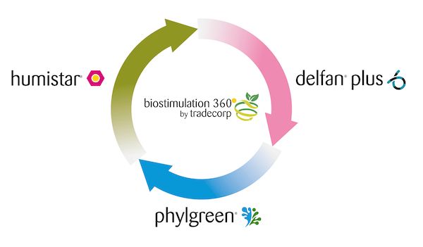 Biostimulation 360 kraadi